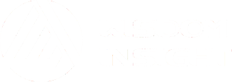 Wisdom Insight Co.,Ltd.